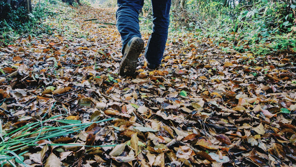 動物VS猟師!! 罠を巡る攻防