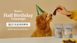 『ハーフバースデーキャンペーン』<br>ブランド誕生から半年。10月は全商品が送料無料!