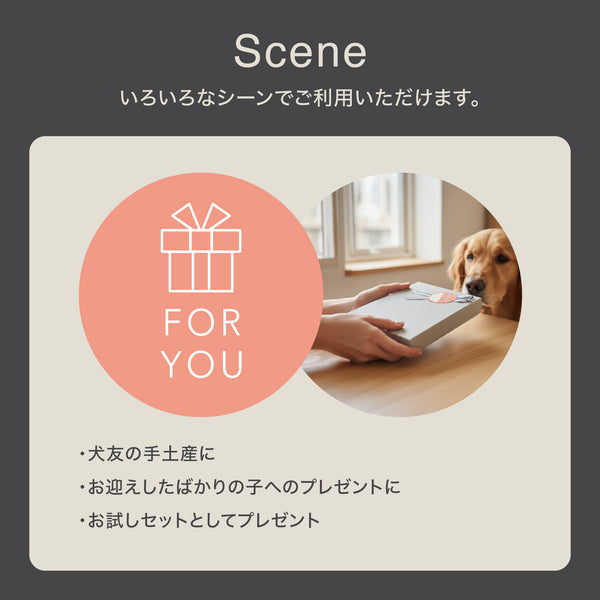 【無添加・低脂肪】Rawtoギフトセット(ジャーキー&ふりかけ)