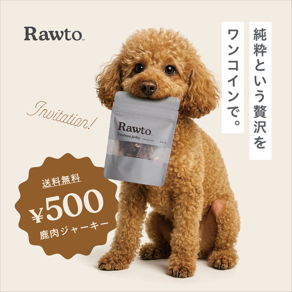 【初めての方に】ワンコイン鹿肉ジャーキー