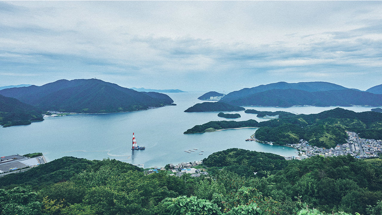 Rawtoのこだわり,高品質な鹿肉,ジビエのペットフード通販サイト