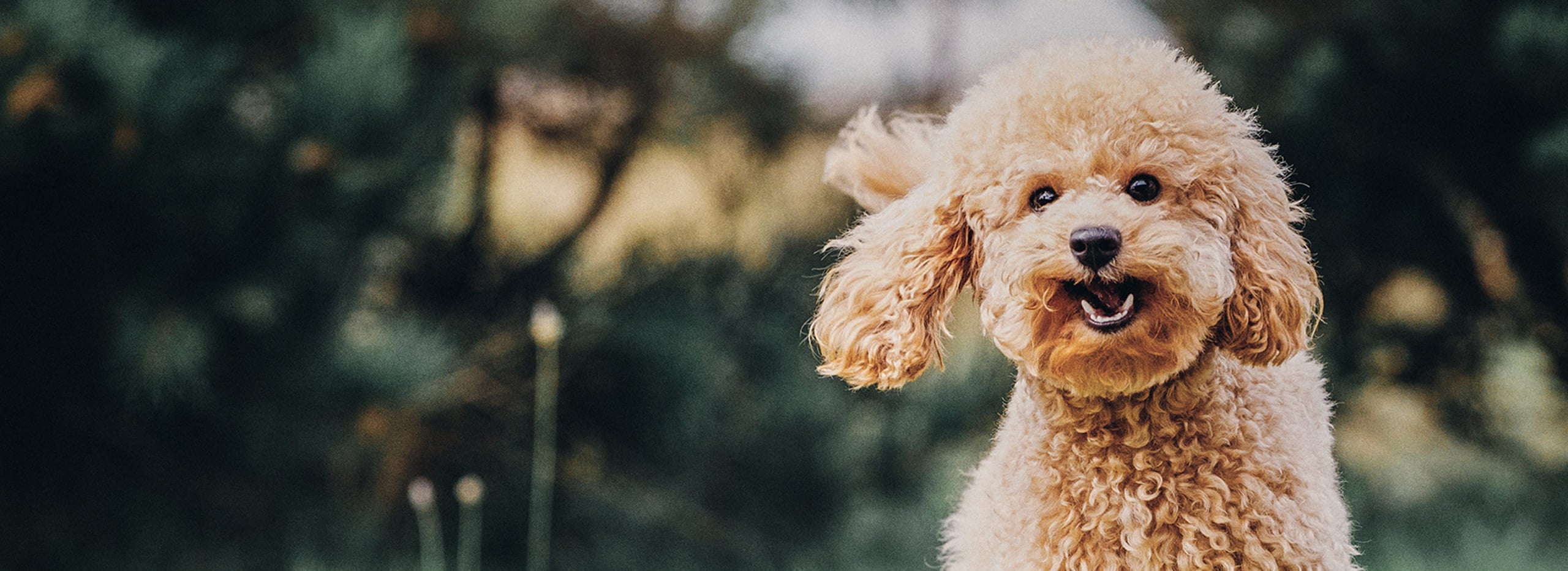 Rawto ロウトゥ,よくある質問