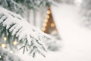 静かな森のクリスマス。<br>愛犬に、自然のごほうびを。