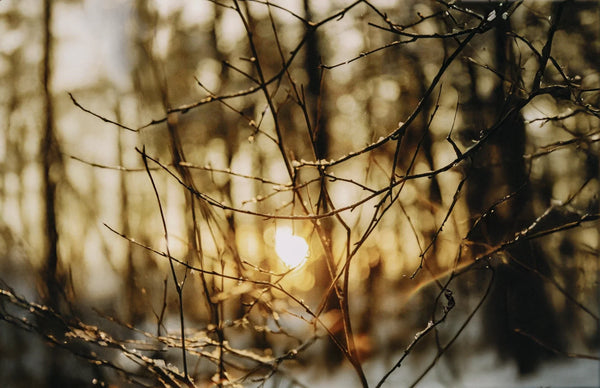 めぐる季節とともに　2025年の御礼と想い