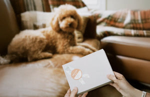 物語ごと、贈るギフト