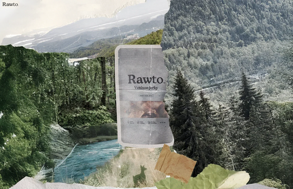 小さなサイン。愛犬の体が伝えること