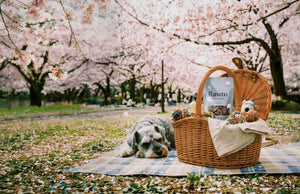桜の下で。お出かけの日の小さな幸せ