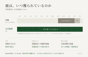 狩猟と有害捕獲のちがいの図。狩猟は11月15日からの期間限定、有害捕獲は通年行われる