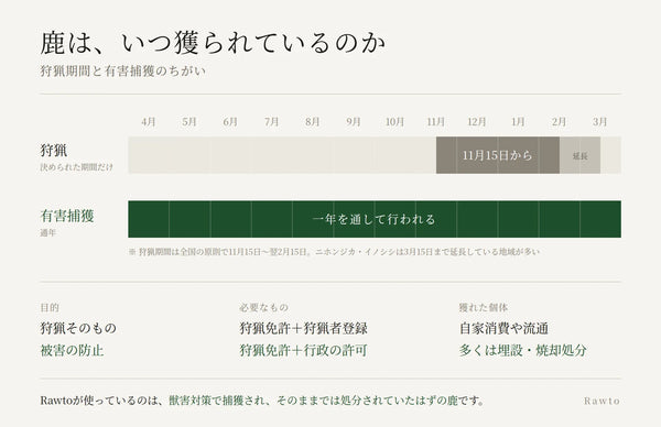 狩猟と有害捕獲のちがいの図。狩猟は11月15日からの期間限定、有害捕獲は通年行われる