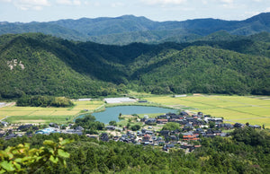 山に囲まれた集落と、色づきはじめた田んぼ。京都府久美浜町（イメージ）