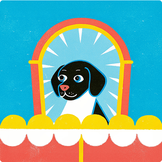 Rawtoの代表取締役,江口 紀文,ジビエのペットフード通販