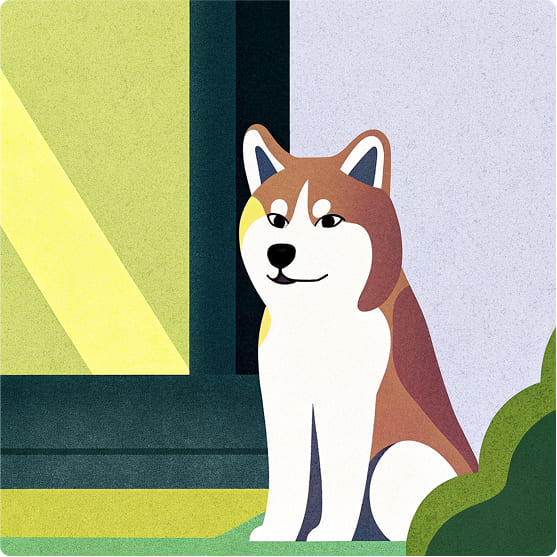 RawtoのWEBディレクター,早川,ジビエのペットフード通販