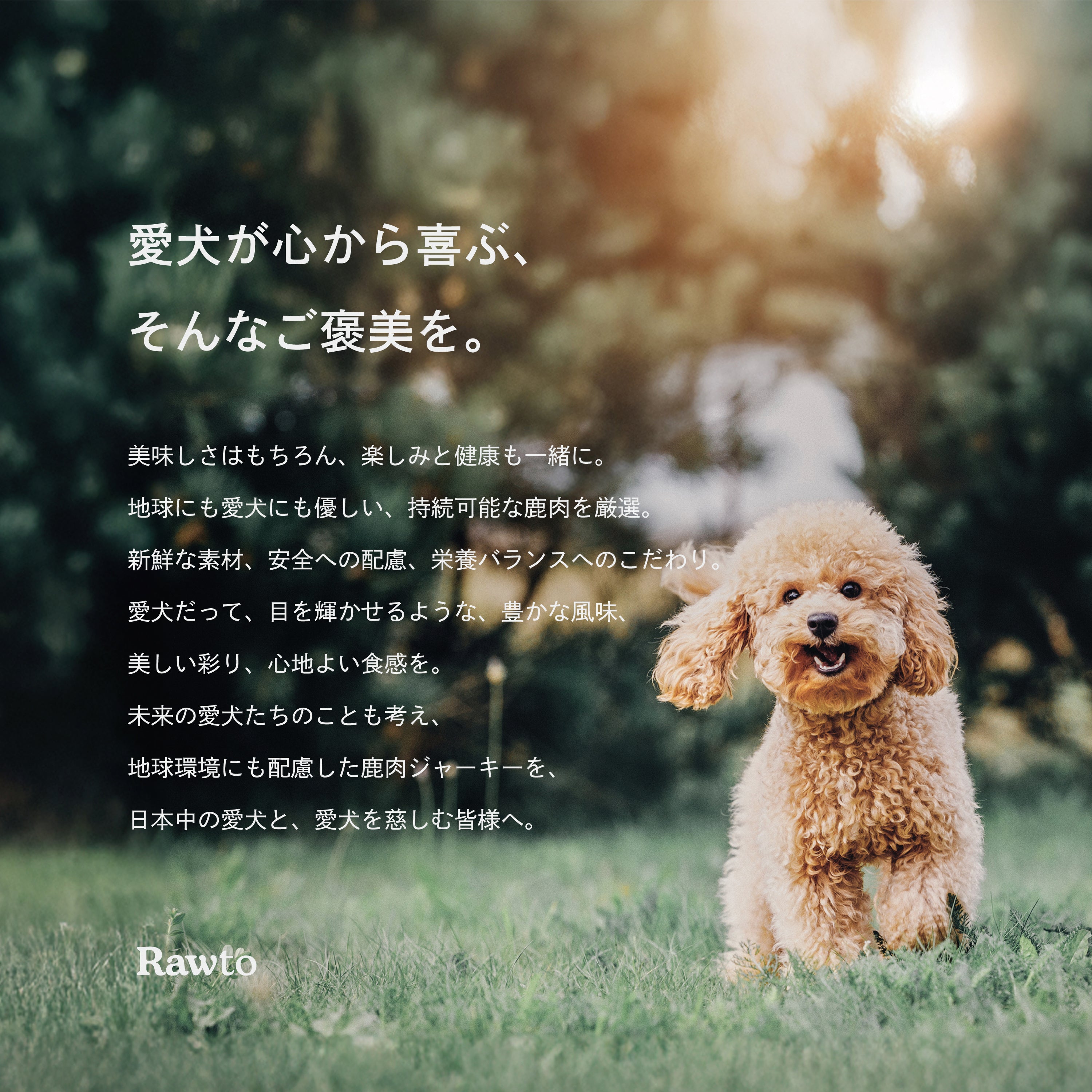 鹿肉ふりかけ – Rawto