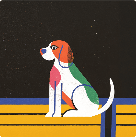 Rawtoのマーケティング担当,西崎,ジビエのペットフード通販