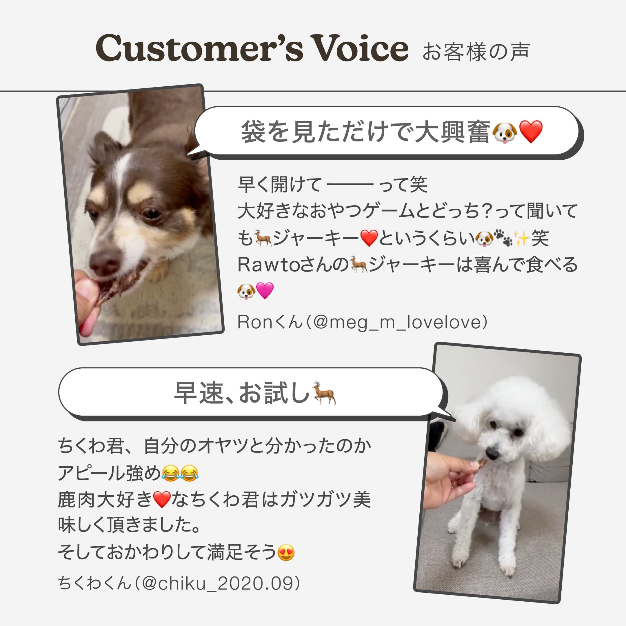 rawto,鹿肉ジャーキー,ペットフード通販サイト