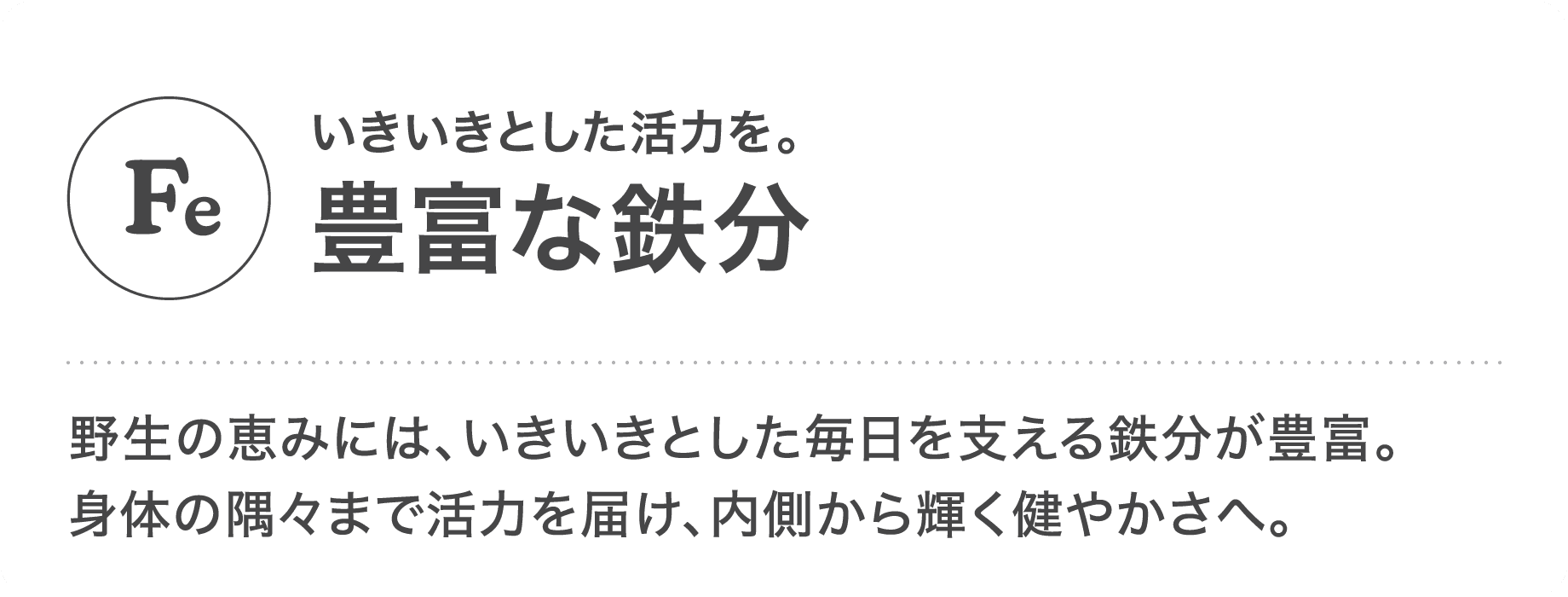 rawto,鹿肉ジャーキー,ペットフード通販サイト
