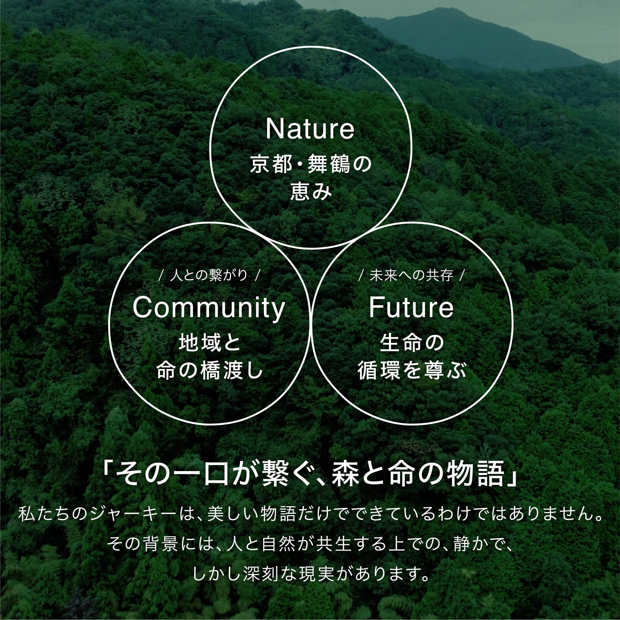 rawto,鹿肉ジャーキー,ペットフード通販サイト